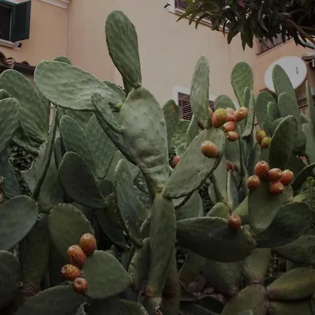 Апартаменты Bellissima Vista Mare, Agrustos San Teodoro *